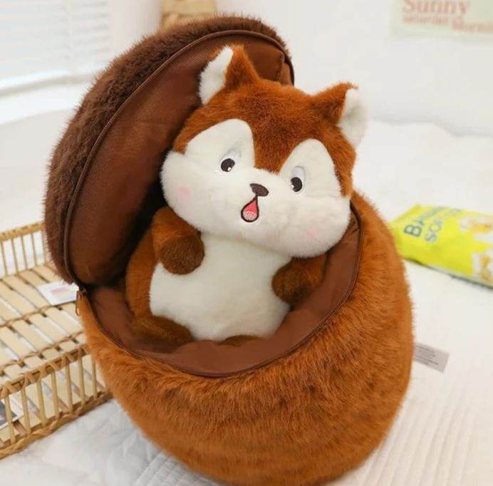 Hidden raccoon - Dubai Offers Today