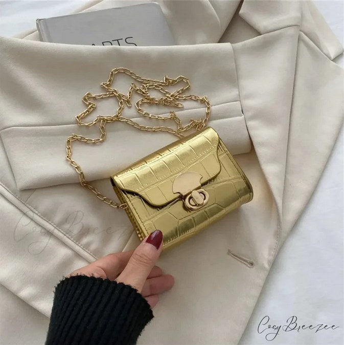 Mini Chain Bag